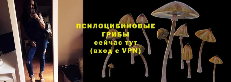 Псилоцибиновые грибы MAGIC MUSHROOMS  Алапаевск 